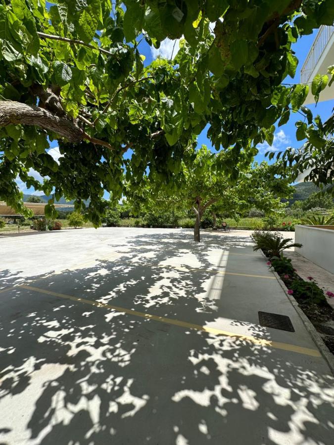 Hotel Odyssion Vasiliki  Exterior photo